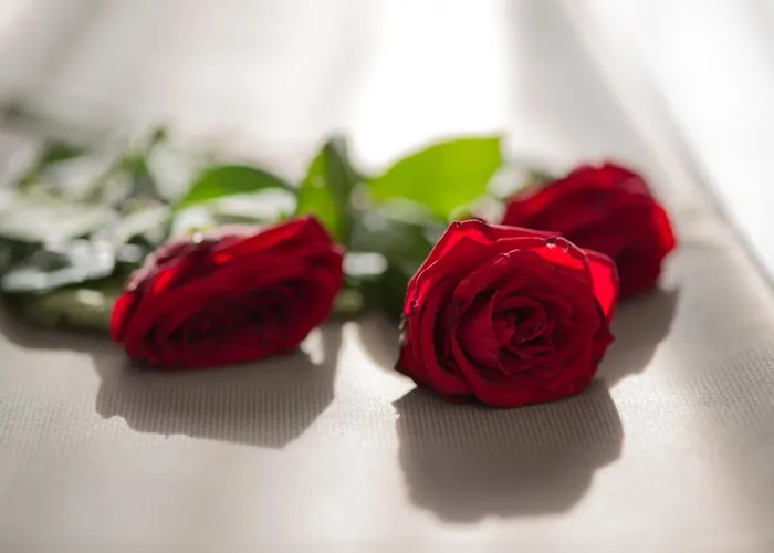 ホテル ブランドリ 3*